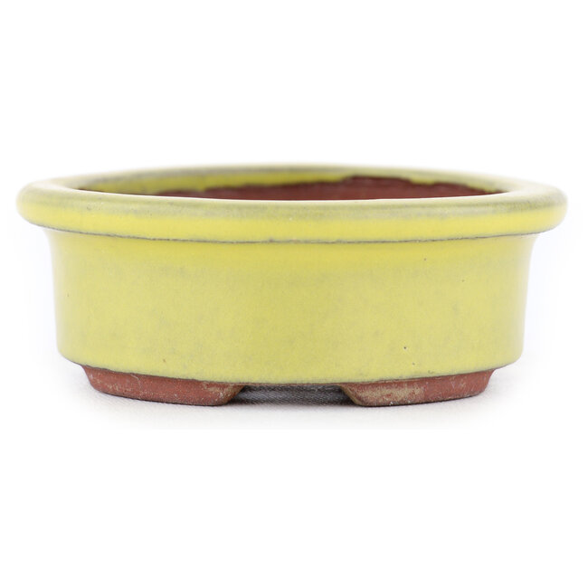 Pot à bonsaï ovale jaune par Eime Yozan - 95 x 80 x 30 mm