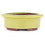 Oval yellow bonsai pot by Eime Yozan - 95 x 80 x 30 mm