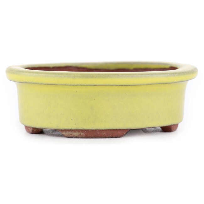 Maceta ovalada para bonsái amarilla de Eime Yozan - 95 x 80 x 30 mm