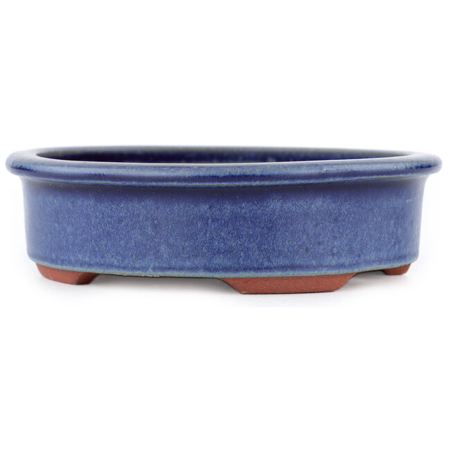 Vaso bonsai ovale blu di Eime Yozan - 150 x 135 x 40 mm
