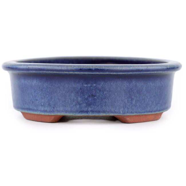 Ovaler blauer Bonsaitopf von Eime Yozan – 150 x 135 x 40 mm