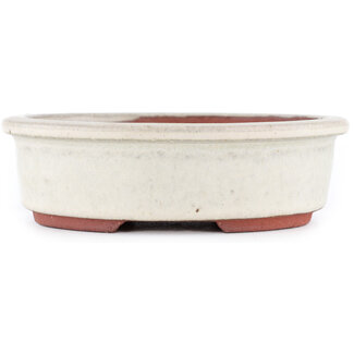 Eimei ( Yozan kiln) 155 mm  off-white bonsai pot by Eime Yozan, Tokoname, Japan