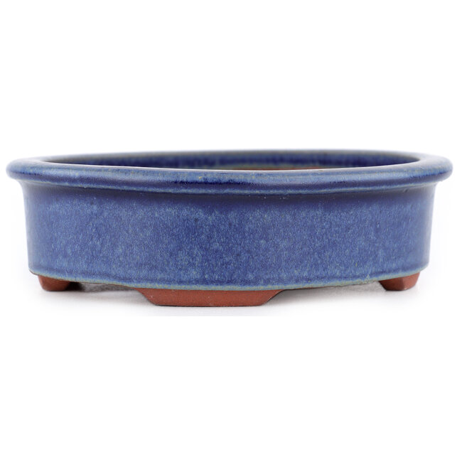 Ovaler blauer Bonsaitopf von Eime Yozan – 150 x 135 x 40 mm