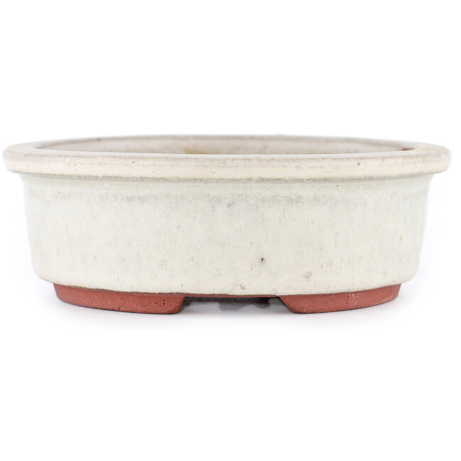 Maceta para bonsái ovalada blanco roto de Eime Yozan - 155 x 140 x 45 mm