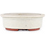 Maceta para bonsái ovalada blanco roto de Eime Yozan - 155 x 140 x 45 mm