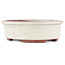 Maceta para bonsái ovalada blanco roto de Eime Yozan - 155 x 140 x 45 mm