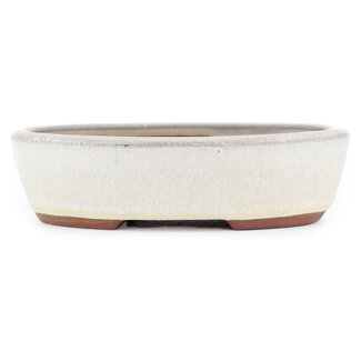  Eimei ( Yozan kiln) 153 mm  off-white bonsai pot by Eime Yozan, Tokoname, Japan