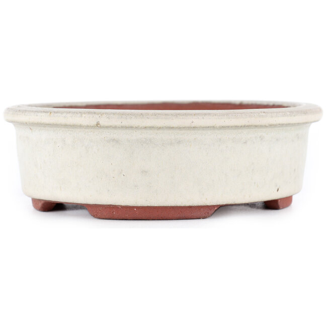 Maceta para bonsái ovalada blanco roto de Eime Yozan - 155 x 140 x 45 mm