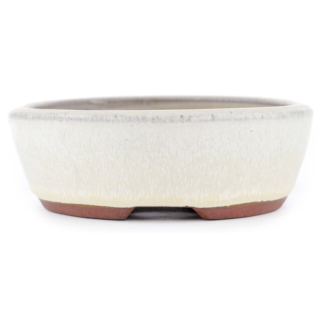 Ovale gebroken witte bonsaipot van Eime Yozan - 153 x 125 x 40 mm