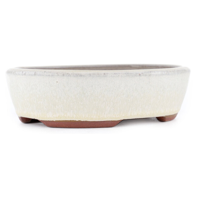 Pot à bonsaï ovale blanc cassé par Eime Yozan - 153 x 125 x 40 mm