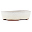 Oval off-white bonsai pot by Eime Yozan - 153 x 125 x 40 mm