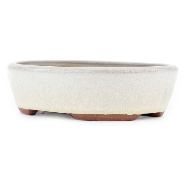 Oval off-white bonsai pot by Eime Yozan - 153 x 125 x 40 mm