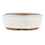 Oval off-white bonsai pot by Eime Yozan - 153 x 125 x 40 mm