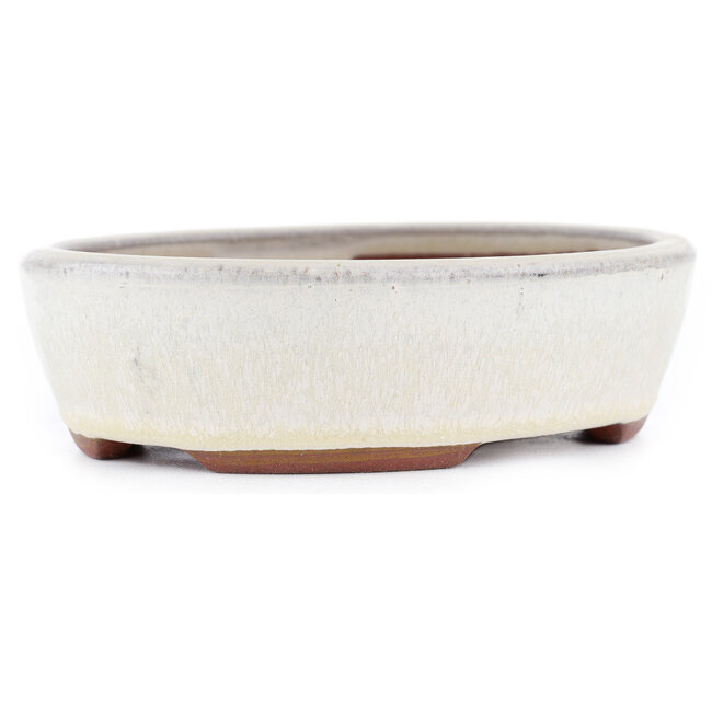 Vaso bonsai ovale bianco sporco di Eime Yozan - 153 x 125 x 40 mm