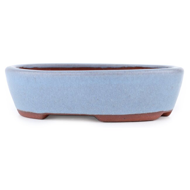 Vaso bonsai ovale blu di Eime Yozan - 153 x 125 x 40 mm