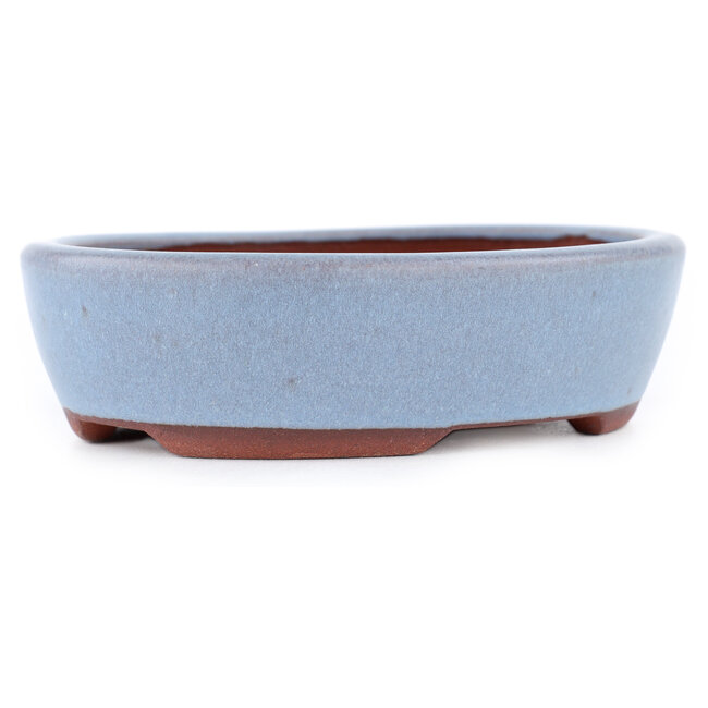 Maceta ovalada para bonsái azul de Eime Yozan - 153 x 125 x 40 mm