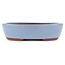 Maceta ovalada para bonsái azul de Eime Yozan - 153 x 125 x 40 mm