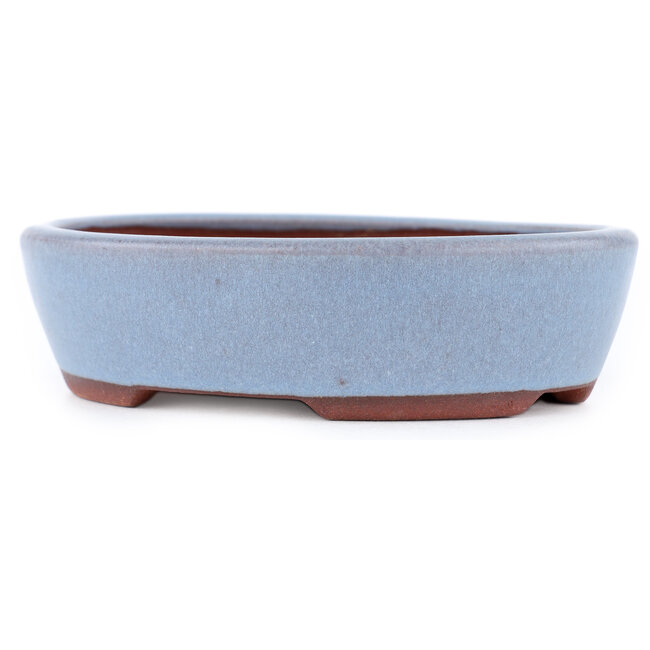 Maceta ovalada para bonsái azul de Eime Yozan - 153 x 125 x 40 mm