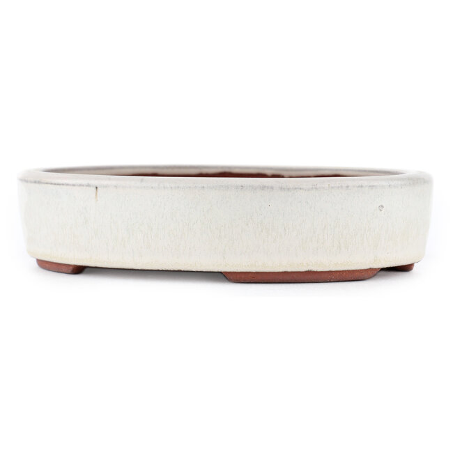 Vaso bonsai ovale bianco sporco di Eime Yozan - 185 x 145 x 40 mm