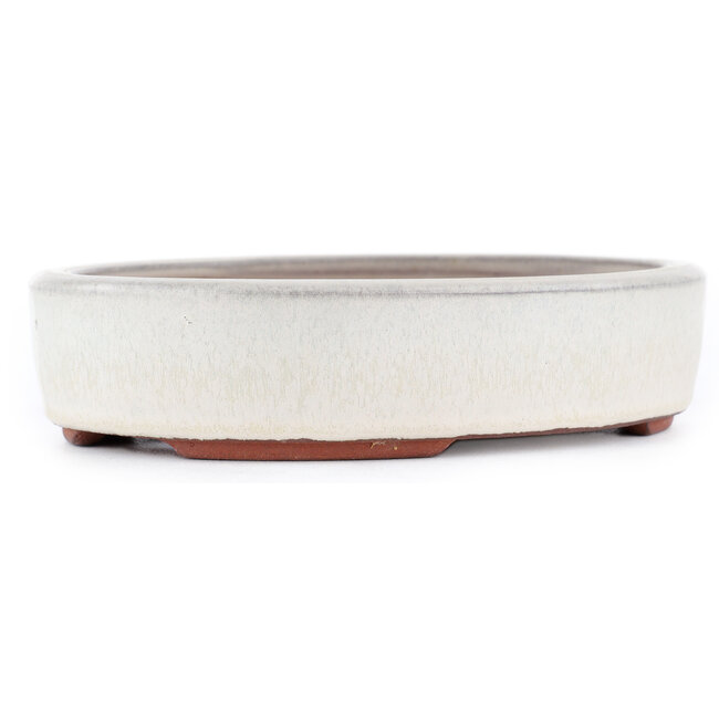 Ovale gebroken witte bonsaipot van Eime Yozan - 185 x 145 x 40 mm
