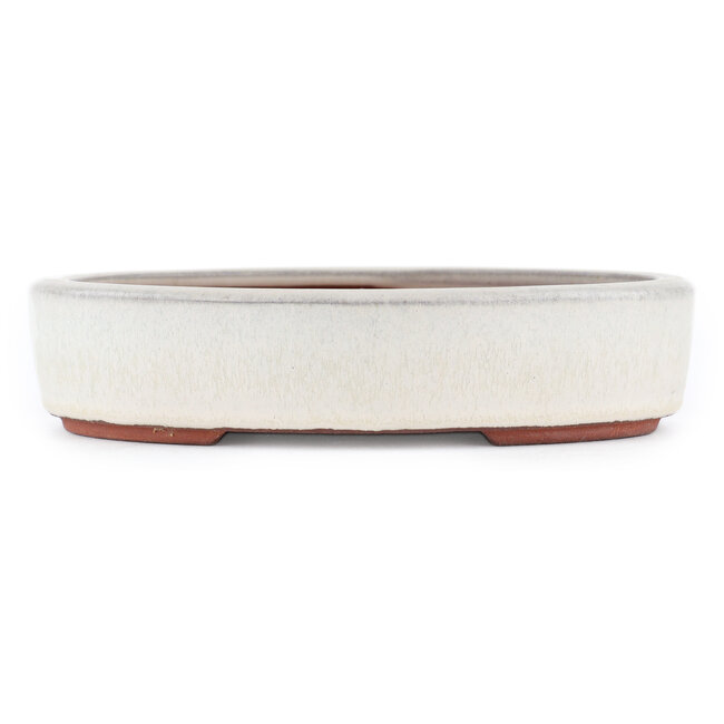 Vaso bonsai ovale bianco sporco di Eime Yozan - 185 x 145 x 40 mm