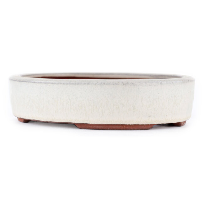 Pot à bonsaï ovale blanc cassé par Eime Yozan - 185 x 145 x 40 mm