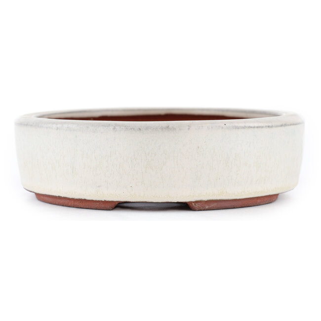 Vaso bonsai ovale bianco sporco di Eime Yozan - 185 x 145 x 40 mm