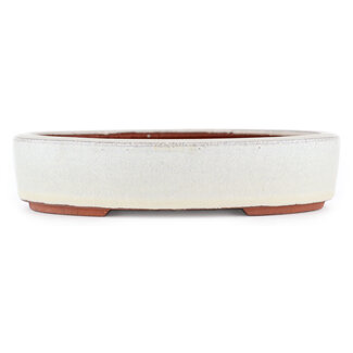  Eimei ( Yozan kiln) 185 mm  off-white bonsai pot by Eime Yozan, Tokoname, Japan