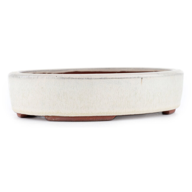 Ovaler, cremefarbener Bonsaitopf von Eime Yozan – 185 x 145 x 40 mm