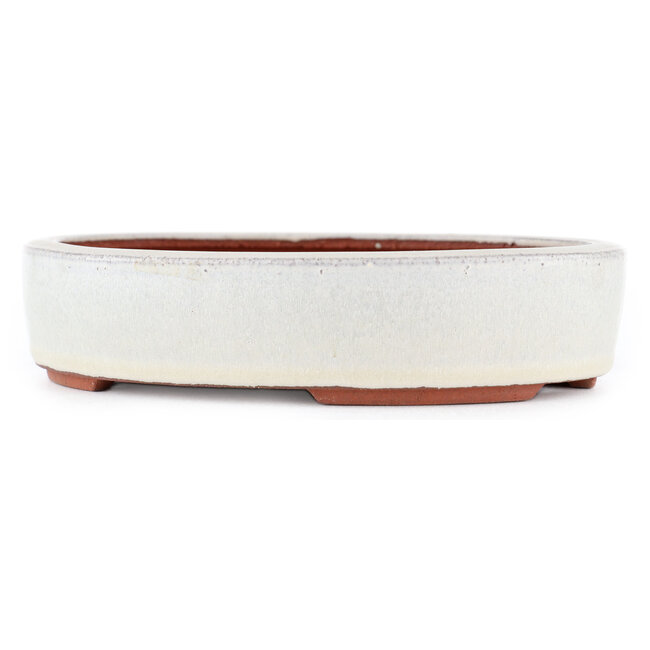 Pot à bonsaï ovale blanc cassé par Eime Yozan - 185 x 145 x 40 mm