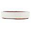 Maceta para bonsái ovalada blanco roto de Eime Yozan - 185 x 145 x 40 mm