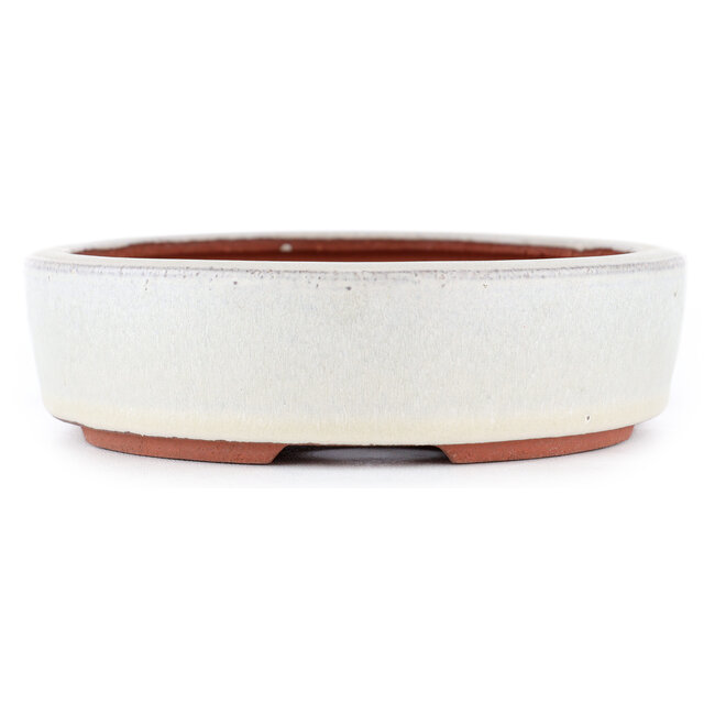 Ovale gebroken witte bonsaipot van Eime Yozan - 185 x 145 x 40 mm