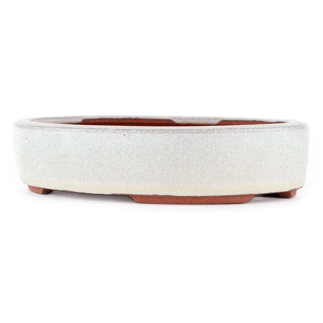Vaso bonsai ovale bianco sporco di Eime Yozan - 185 x 145 x 40 mm