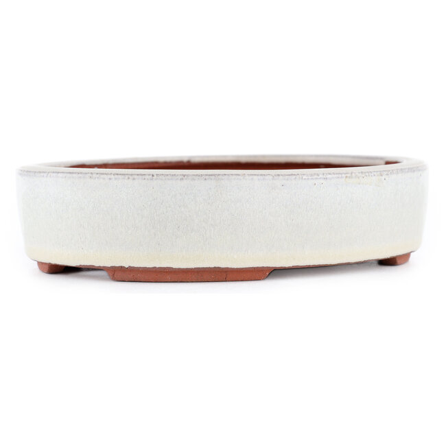 Ovale gebroken witte bonsaipot van Eime Yozan - 185 x 145 x 40 mm