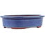 Vaso bonsai ovale blu di Eime Yozan - 180 x 150 x 40 mm