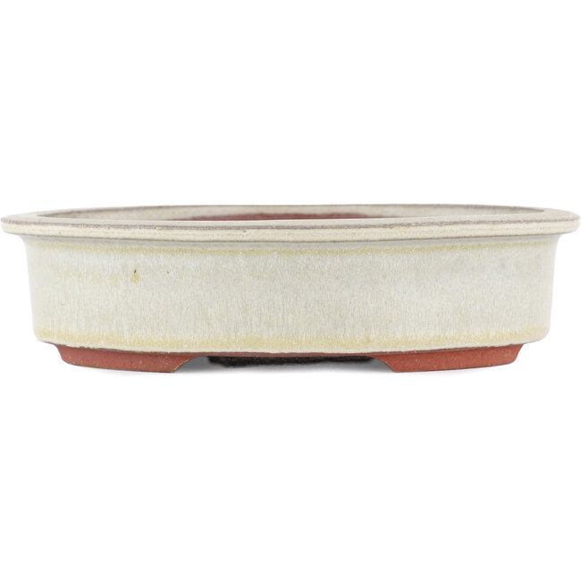 Ovale gebroken witte bonsaipot van Eime Yozan - 180 x 150 x 40 mm