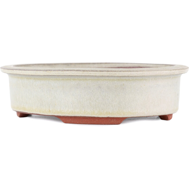 Ovaler, cremefarbener Bonsaitopf von Eime Yozan – 180 x 150 x 40 mm