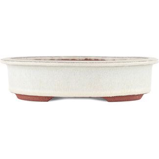  Eimei ( Yozan kiln) 180 mm  off-white bonsai pot by Eime Yozan, Tokoname, Japan