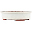 Oval off-white bonsai pot by Eime Yozan - 180 x 150 x 40 mm