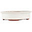 Oval off-white bonsai pot by Eime Yozan - 180 x 150 x 40 mm