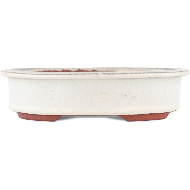 Maceta para bonsái ovalada blanco roto de Eime Yozan - 180 x 150 x 40 mm