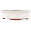 Oval off-white bonsai pot by Eime Yozan - 180 x 150 x 40 mm