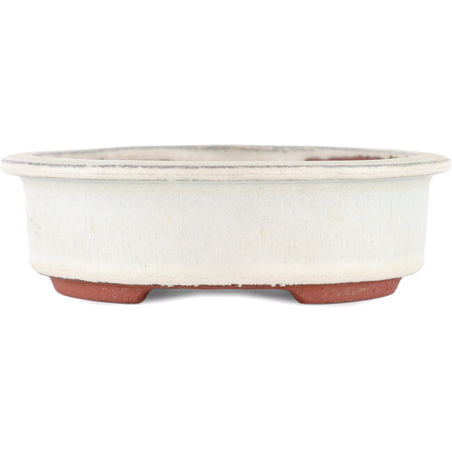 Maceta para bonsái ovalada blanco roto de Eime Yozan - 180 x 150 x 40 mm
