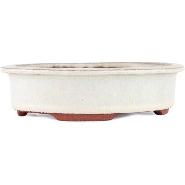 Maceta para bonsái ovalada blanco roto de Eime Yozan - 180 x 150 x 40 mm
