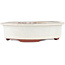 Maceta para bonsái ovalada blanco roto de Eime Yozan - 180 x 150 x 40 mm