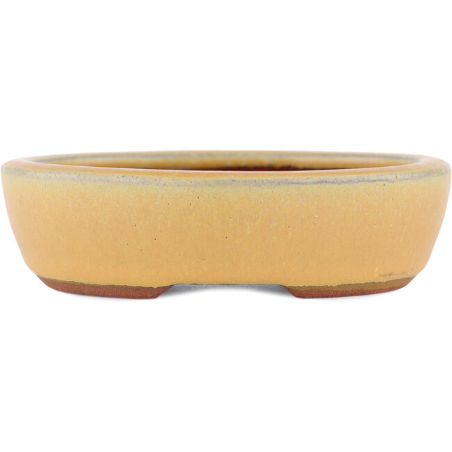 Pot à bonsaï ovale ocre par Eime Yozan - 120 x 100 x 30 mm