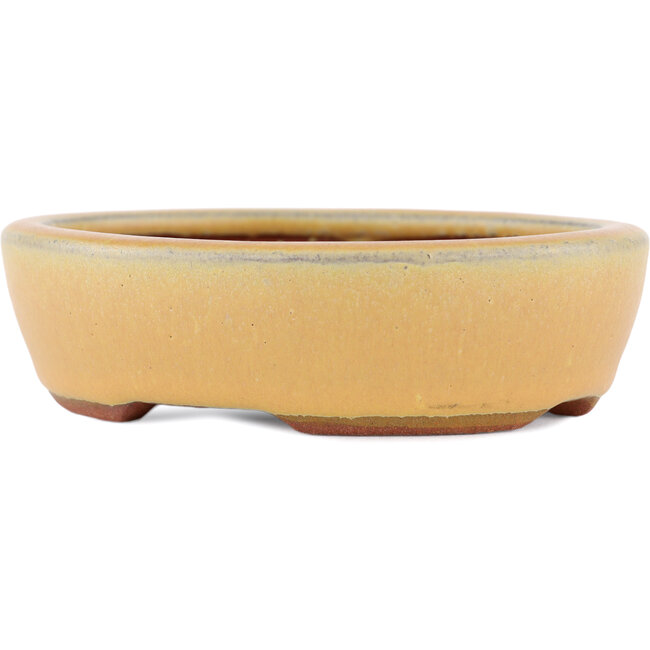 Vaso bonsai ovale ocra di Eime Yozan - 120 x 100 x 30 mm