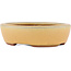Maceta para bonsái ovalada ocre de Eime Yozan - 120 x 100 x 30 mm