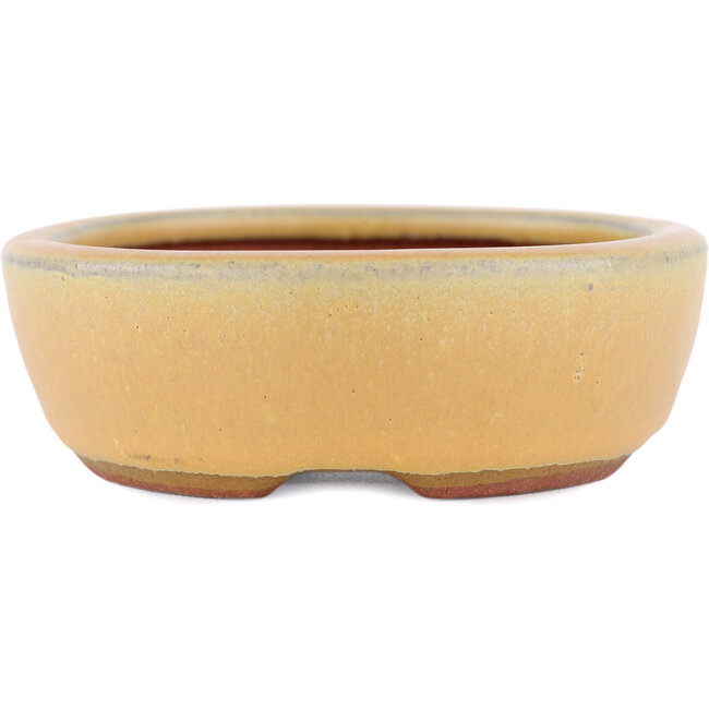 Vaso bonsai ovale ocra di Eime Yozan - 120 x 100 x 30 mm
