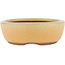 Pot à bonsaï ovale ocre par Eime Yozan - 120 x 100 x 30 mm